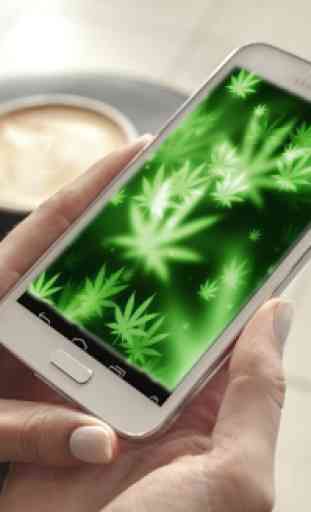 Marijuana Fond d'écran Animé 1