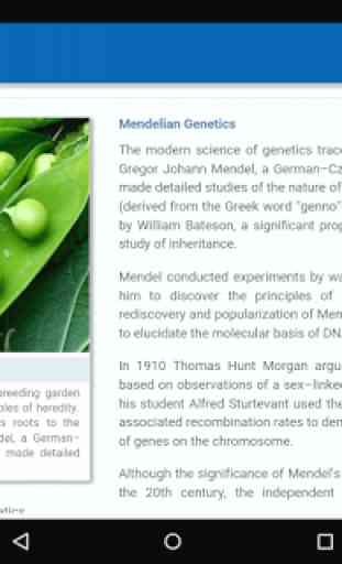 Mendelian Genetics 2