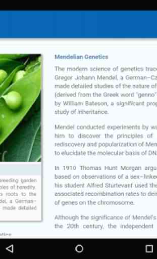 Mendelian Genetics 4
