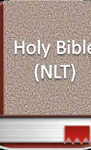 NLT Bible 4