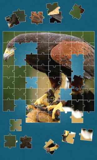 Oiseaux Jeux de Puzzle 1