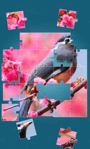 Oiseaux Jeux de Puzzle 2