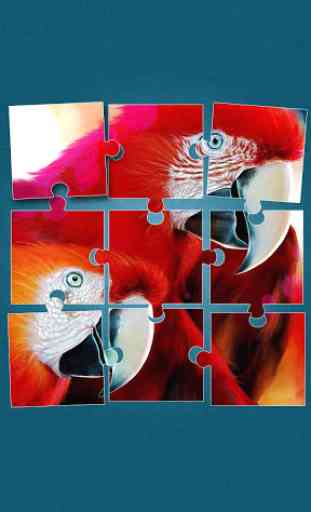 Oiseaux Jeux de Puzzle 4
