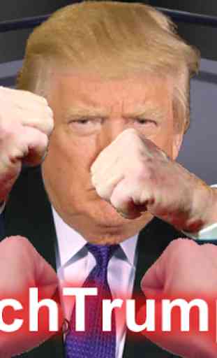 Punch Trump 1