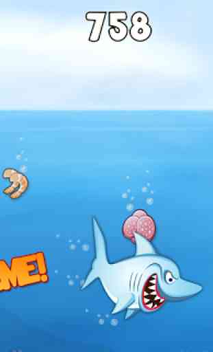 Shark Jeux: Hungry Dash HD 2