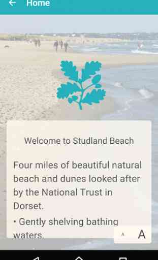 Studland Beach 1