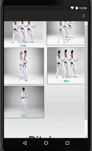 Taekwondo 3