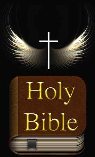The Holy Bible lite 18 vers. 1