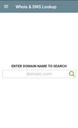 Whois & DNS Lookup - Domain/IP 1