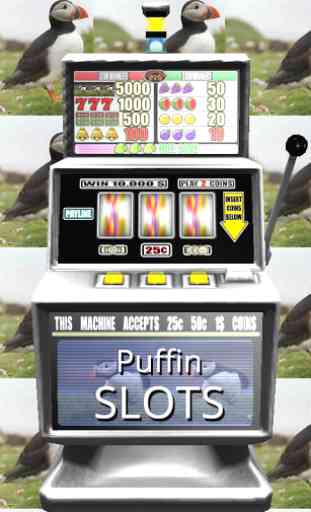 3D Puffin Slots - Free 1