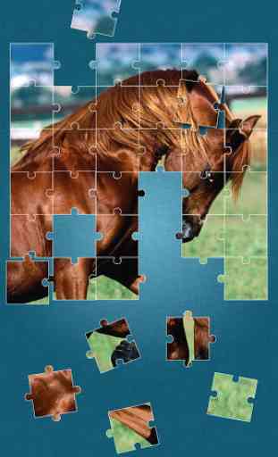 Cheval Jeux de Puzzle 1