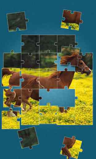 Cheval Jeux de Puzzle 4