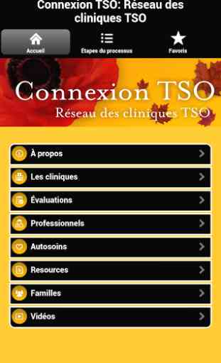 Connexion TSO 1