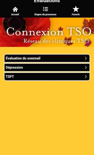 Connexion TSO 3