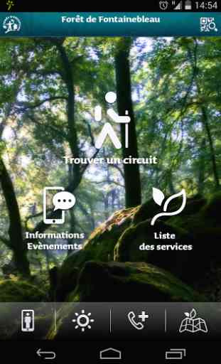 Forêt de Fontainebleau 1