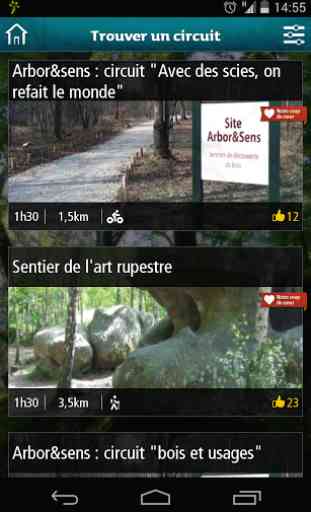 Forêt de Fontainebleau 2
