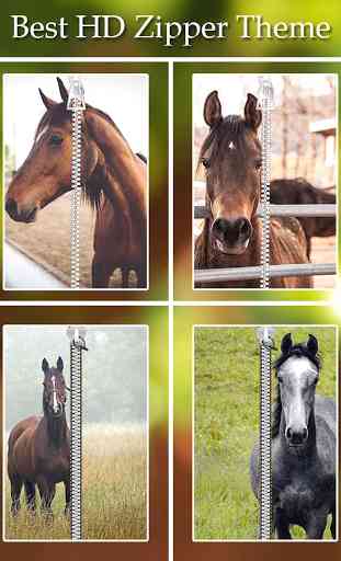 Horse Zipper Lock 1