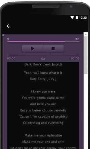 Katy Perry Lyrics Hits 4
