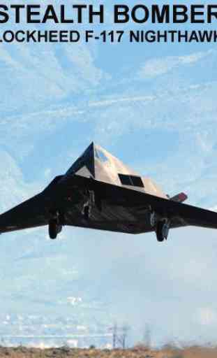 Lockheed F-117 Nighthawk 1