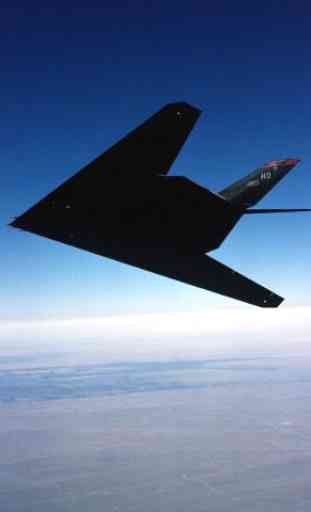Lockheed F-117 Nighthawk 2