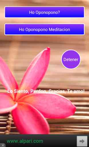 Meditacion HoOponopono - PRO 2