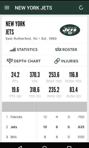 Official New York Jets 3