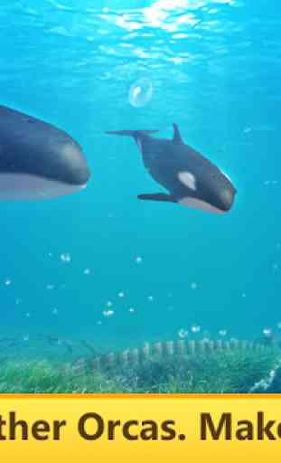 Orca Simulator: Animal Quest 3