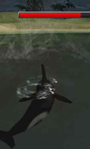 orque épaulard faim 3d 4