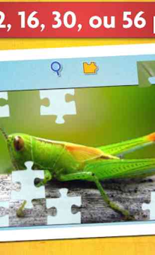 Puzzles insectes pour enfants 3