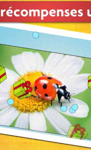 Puzzles insectes pour enfants 4