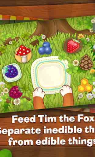 Tim the Fox 4