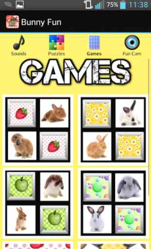 Bunny Games for Kids - Free 3