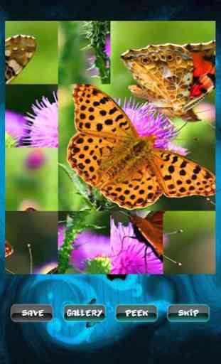 Butterfly Puzzle 3