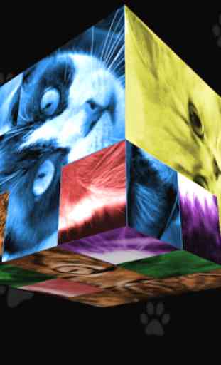 Cats Rubik's Cube 3