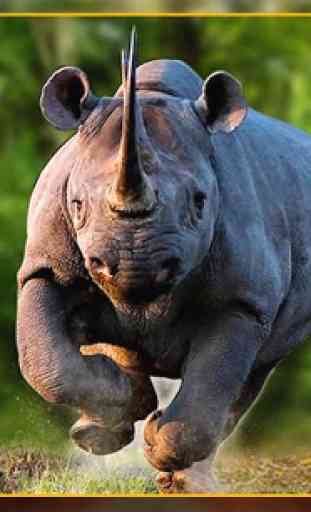 colère sauvage rhino attaque3d 1