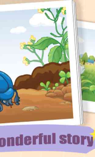 Dung Beetle - Insect World 1