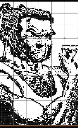No2.Pictures Picross Picross 3