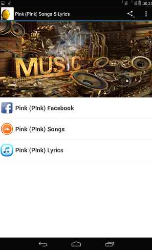Pink (P!nk) Songs & Lyrics 1