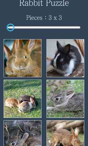 Puzzle: Lapin 1