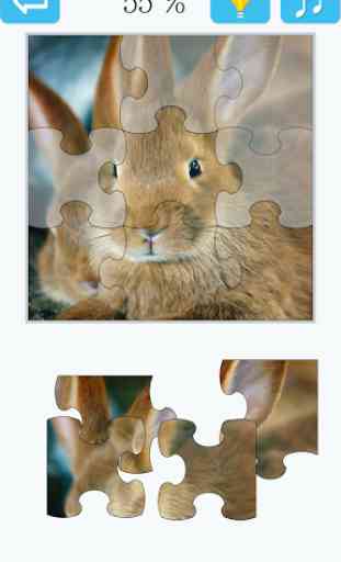 Puzzle: Lapin 2