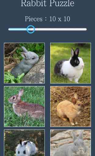 Puzzle: Lapin 4