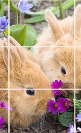 Puzzle - lapins mignons 1