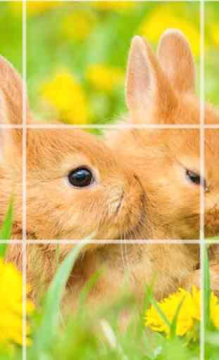 Puzzle - lapins mignons 4