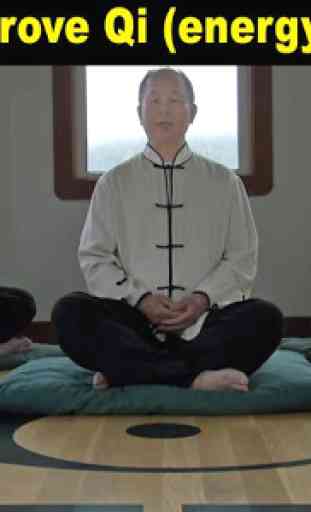 Qigong Meditation (YMAA) 3