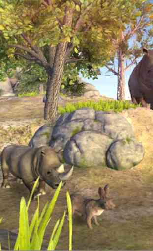 simulation rhinocéros 3