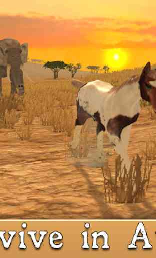 African Horse Simulator 3D 2