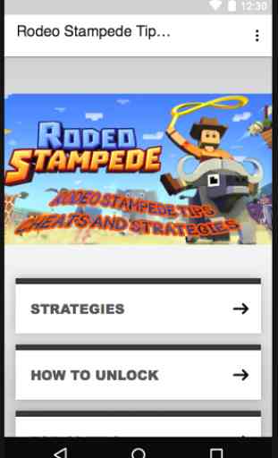 Guide for Rodeo Stampede 1