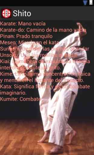 Karate Shito-Ryu 1