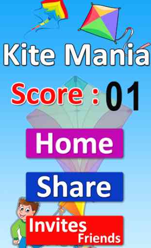 Kite mania for kites lover 3