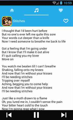 Shawn Mendes Music with Lyrics 4